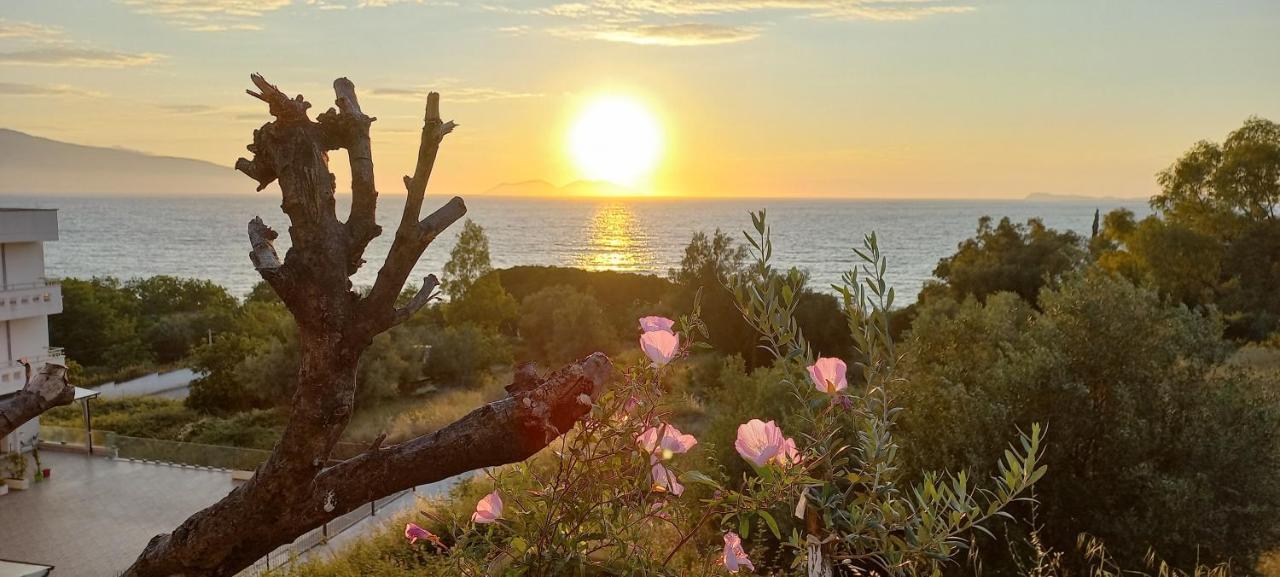 Views Of Vlore - Lunarossa Экстерьер фото